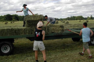 È arrivata la primavera e sono iniziati i lavori in campagna … senza voucher. 50.000 occasioni di lavoro agricolo perdute per giovani, pensionati e cassa integrati, per un settore che non ne aveva mai abusato: il loro uso era stabile dal 2011