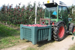 Giù i redditi agricoli in Europa, diminuiti mediamente dell’1,7% nel 2014 sul 2013, e con l’Italia, con -11%, che si ritrova nel gruppo dei Paesi Ue dove si registrano le diminuzioni più sensibili: sono le prime stime 2014 delle statistiche Eurostat