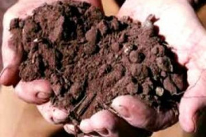 CON I CAMBIAMENTI CLIMATICI, IN FUTURO, MENO CIBO E PIÙ CARO, CON STIMA AL RIALZO (+20/40%) PER IL PREZZO DEI CEREALI NEL 2050, E COSTO DEL WELFARE CHE LEVITERÀ FINO A 280 MILIARDI DI DOLLARI ALL’ANNO. COSÌ UNO STUDIO DELLA RIVISTA “CLIMATIC CHANGE”