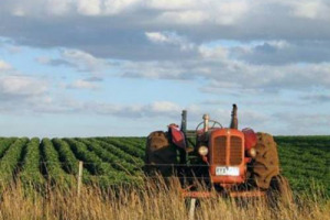CON UN INCREMENTO ANNUO PARI AL 2,8%, IL SETTORE ALIMENTARE CONTRIBUISCE LARGAMENTE ALLA RIPRESA DELLA PRODUZIONE INDUSTRIALE, SALVANDO I CONTI DELLE AZIENDE DAL CROLLO DEI CONSUMI INTERNI. COSÌ LA CIA-CONFEDERAZIONE ITALIANA AGRICOLTORI