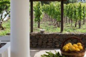Ponte 1 maggio: 1 italiano su 3 lo trascorre in agriturismo, Toscana e Trentino sono le mete più amate. Per l’Osservatorio AgrieTour, le strutture agrituristiche italiane sono oltre 20.000