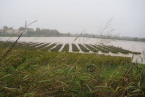 MALTEMPO: COLDIRETTI, DANNI INCALCOLABILI. PALI DELLE VIGNE TRASCINATI VIA, PALI DELLE VIGNE TRASCINATI VIA, STRADE FRANATE. E IL BILANCIO DEI DANNI DELL&rsquo;ESTATE ALL&rsquo;AGRICOLTURA SALE ANCORA, A 3 MILIARDI DI EURO STIMATI, IL 10% DEL PIL AGRICOLO