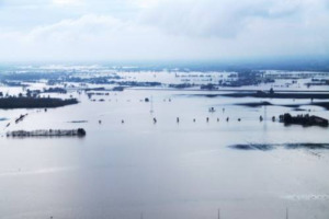 Campi allagati e colture di basilico distrutte a Genova, muri delle fasce olivicole crollati a Imperia, serre di fiori allagate a Sanremo e Ventimiglia, vigneti a rischio a La Spezia per maltempo in Liguria. Coldiretti: danni per 30 milioni di euro