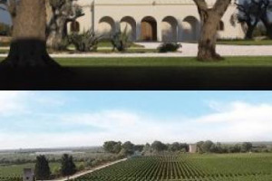 ZONIN: &ldquo;CALIFORNIA DREAM&rdquo;? UNO DEI GRUPPI PI&Ugrave; IMPORTANTI DEL VINO MADE IN ITALY (2.000 ETTARI DI VIGNETO IN TUTTO IL PAESE) CHE HA APPENA INAUGURATO &ldquo;ALTE MURA&rdquo; IN PUGLIA, PENSA AL PROSSIMO PASSO. NEGLI STATI UNITI (E NON SOLO)
