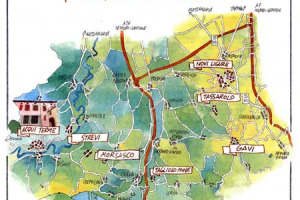 IL “GRINZANE CAVOUR” PRESENTA “SCRITTORI IN VENDEMMIA”: IL VINO VEICOLO DI CULTURA NELL’INCONTRO FRA I PROTAGONISTI DELLA LETTERATURA INTERNAZIONALE