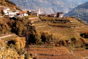 50 MILIARDI IN TRENTINO PER LO SVILUPPO DELLA "STRADA DEL VINO E DEI SAPORI" E DELL'AGRITURISMO
