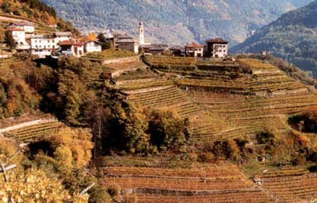 Italia