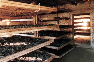 INDAGINE DEMOSCOPICA DI ASTRA RICERCHE - GLI ITALIANI AMANO IL VALPOLICELLA: NEL 2006 3,6 MILIONI I CONSUMATORI ITALIANI DI VALPOLICELLA. VINO APPREZZATO PER IL SUO ECCELLENTE RAPPORTO QUALITÀ/PREZZO