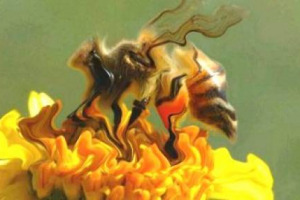 Mucche che producono il 15% di latte in meno della norma, deposizione di uova a -5-10%, maiali inappetenti e api a terra: l’impatto del caldo estivo sulla “fattoria Italia” secondo Coldiretti. “Produzioni minori e costi più alti”