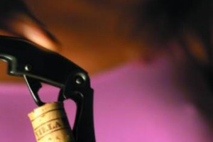 Vino, da gennaio 2017 obbligatorio il &ldquo;registro dematerializzato&rdquo;. Federvini: &ldquo;nel complesso &egrave; un bene, anche se avremo oltre 31.500 codici da comunicare&rdquo;. Fregolent (Icqrf): &ldquo;vero, ma per molte cantine non saranno pi&ugrave; di 50-100. Serve trasparenza&rdquo;