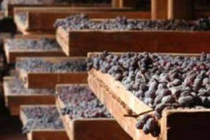 AMATO ALL&rsquo;ESTERO E IN ITALIA, L&rsquo;AMARONE DELLA VALPOLICELLA SI PREPARA AL DEBUTTO DELL&rsquo;ANNATA 2010, LA PRIMA A DOCG, CHE SI ANNUNCIA &ldquo;OTTIMA&rdquo;. A DIRLO IL CONSORZIO DEI VINI DELLA VALPOLICELLA. E IL 25-26 GENNAIO, A VERONA, C&rsquo;&Egrave; &ldquo;ANTEPRIMA AMARONE&rdquo;