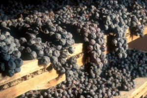 L&rsquo;ITALIA DEL VINO GUARDA CON SEMPRE MAGGIOR ATTENZIONE AL BRASILE, DOVE LE IMPORTAZIONI VOLANO IN VOLUME E VALORE, E I WINE LOVERS PREMIANO A &ldquo;ENCONTROS DE VINHOS OFF&rdquo; L&rsquo;AMARONE DELLA VALPOLICELLA, CHE DOMINA LA TOP 5