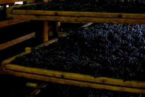 Un&rsquo;annata 2011 &ldquo;eccezionale&rdquo; sul fronte della qualit&agrave;, e un valore che sale nei mercati internazionali, dove finisce l&rsquo;80% della produzione: ottimismo in Valpolicella grazie all&rsquo;Amarone, vino-brand che fa da traino a tutto il territorio