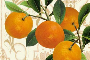 LE ARANCE ROSSE DI SICILIA COME MESSAGGIO DI SOLIDARIETA’. LA REGIONE FORNIRA’ UN MILIONE E 400 MILA AGRUMI PER L’ASSOCIAZIONE ITALIANA PER LA RICERCA CONTRO IL CANCRO A SOSTEGNO DELL’INIZIATIVA “LE ARANCE DELLA SALUTE”