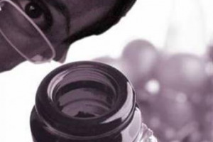 QUANDO LA CRISI AGUZZA L’INGEGNO: PER NON RINUNCIARE ALLE ETICHETTE DEL CUORE GLI ENO-APPASSIONATI INVENTANO NUOVI MODI PER FARE SHOPPING DI VINO, DAL BARATTO AI GRUPPI DI ACQUISTO, PASSANDO PER LE GARAGE SALES