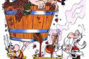 CERCHIO ALLA TESTA, ADDIO. &Egrave; NATO IL LIEVITO TRANSGENICO CHE LIMITA LA FORMAZIONE DI AMMINE, MOLECOLE CHE CAUSANO EMICRANIE E MAL DI TESTA ANCHE DOPO POCHI BICCHIERI DI VINO. E VIENE GI&Agrave; USATO DA ALCUNI PRODUTTORI DEL NORD AMERICA