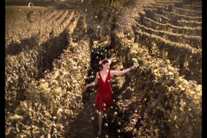 PROFESSIONISTI DEL MERCATO, MANAGER QUALIFICATI, PROGETTI MODERNI E MIRATI AD OBIETTIVI PRECISI. IL “CASO” ASTI DOCG, AL CENTRO DI UNA IMPORTANTE AZIONE DI RILANCIO, SEGNA LA STRADA PER LE FUTURE FORTUNE DELL’ENOLOGIA ITALIANA