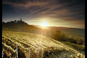 &ldquo;12.000 FAMIGLIE NON HANNO PI&Ugrave; CERTEZZA ECONOMICA PER IL LORO FUTURO&rdquo;: &Egrave; L&rsquo;APPELLO, USCITO &ldquo;A PAGAMENTO&rdquo;, SU QUOTIDIANO &ldquo;LA STAMPA&rdquo;, PER SPIEGARE LA SITUAZIONE CRITICA DEI VIGNAIOLI PIEMONTESI E CHIEDERE AIUTO. &ldquo;COMIZIO ENOICO&rdquo; A ASTI IL 2 SETTEMBRE