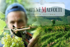 Tutela internazionale, lavoro sul valore, e sinergie nei territori: il futuro del Prosecco, protagonista dei mercati e celebrato dalle istituzioni, a Vinitaly, secondo Domenico Scimone, ad Carpenè Malvolti, dove è nato, 150 anni fa