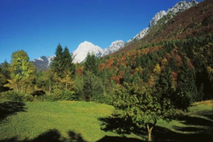 Tra la voglia di rifarsi delle ferie estive rovinate dal maltempo e abbondanza (a prezzi vantaggiosi) di tartufi e funghi, è boom per il turismo enogastronomico d’autunno tra sagre e feste per il Belpaese. Così Coldiretti, su dati Istituto Piepoli