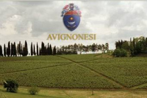 AVIGNONESI DIVENTA BELGA: CAMBIO DI PROPRIETÀ DI UNA DELLE PIÙ FAMOSE CANTINE ITALIANE. LA FAMIGLIA FALVO HA CEDUTO IL PACCHETTO DI MAGGIORANZA DELLA GRIFFE DI MONTEPULCIANO A VIRGINIE SAVERYS (STAFF DIRIGENZIALE DELLA COMPAGNIA MARITIME BELGE NV)