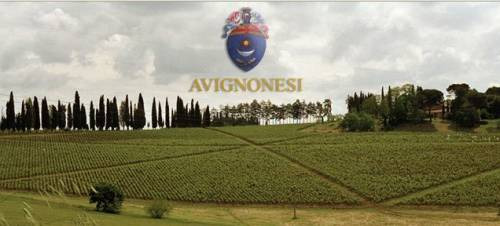 Ecco la collina vitata degli Avignonesi, a Montepulciano, in Toscana