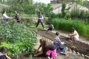 L&rsquo;ORTO COME SCUOLA DI VITA PER BAMBINI E ADULTI. PER IMPARARE NON SOLO IL GUSTO, MA ANCHE PAZIENZA, PARSIMONIA, TEMPI DELLA NATURA. E PER UNA MAGGIORE VERSATILIT&Agrave; A CAMBIAMENTI DEL MONDO. RUOLO DIDATTICO DELLA TERRA NEL &ldquo;GIRO DELL&rsquo;ORTO&rdquo; DI WINENEWS