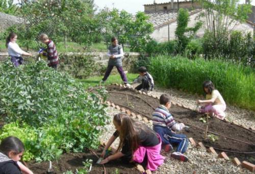 Ecco l’orto di WineNews