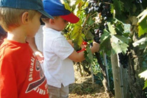 SEMPRE PIÙ VISITE NELLE FATTORIE DIDATTICHE (OLTRE 2.500 IN ITALIA), SCUOLE ELEMENTARI IN TESTA: NELL’ANNO SCOLASTICO 2012/2013 SECONDO STIME AGRITURIST SARANNO 1 MILIONE GLI STUDENTI A SCUOLA DI AGRICOLTURA (+3%). LE PIÙ ATTIVE? IN EMILIA ROMAGNA