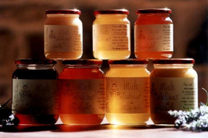 IL MIGLIOR MIELE D’ITALIA É DI RODODENDRO E ARRIVA DALLE MONTAGNE INCONTAMINATE DELLA LOMBARDIA: LA SETTIMANA DEL MIELE DI MONTALCINO (6-9 SETTEMBRE) PREMIA UN MIELE RARO E DELICATISSIMO