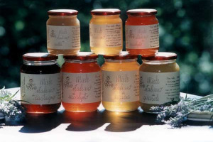 MIELE & CUCINA: LE MILLE VIRTU' DEL MIELE