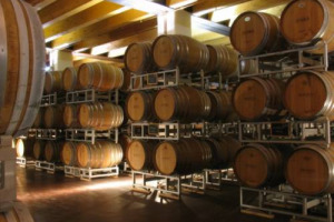 SONDAGGIO WINENEWS - PER LE 25 AZIENDE VITI-VINICOLE PI&Ugrave; IMPORTANTI D&rsquo;ITALIA (PER STORIA, VOLUME D&rsquo;AFFARI, IMMAGINE) FATTURATO 2009 IN CALO, DAL 5% AL 10%. &ldquo;SPACCATO&rdquo; IN DUE IL &ldquo;SENTIMENT&rdquo; SUL 2010 (NEGATIVO/ABBASTANZA POSITIVO)