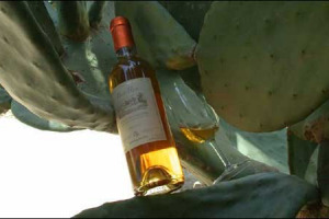 VINI PASSITI: NEL 2007 LE ENOTECHE CORRONO ALL’ACQUISTO. IL PASSITO DI PANTELLERIA IL PIÙ RICHIESTO DAGLI ITALIANI. CITTÀ DEL VINO: “OSSERVATORIO SUI PASSITI NEI PROSSIMI TRE ANNI E MAGGIORI TUTELE AI TERRITORI D’ORIGINE NELLA NUOVA OCM VINO”