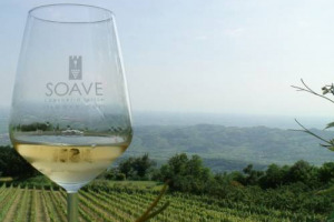 Ocm Vino, ecco la graduatoria dei progetti per la promozione del Veneto. Oltre 10 milioni di euro di cofinanziamento per 20 milioni di investimenti complessivi in 22 progetti (18 di imprese, 4 dei Consorzi per le denominazioni). Usa e Cina mete top