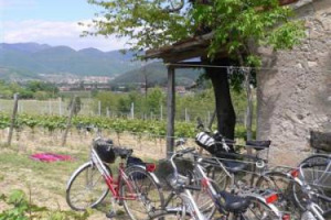 Perché gli italiani scelgono sempre di più la campagna? Perché vi si può fare di tutto: dal cicloturismo alle ippovie, dall’agricoltura sociale alla fattoria didattica. E merito anche delle vacanze in agriturismo. Così AgrieTour e Campagna Amica