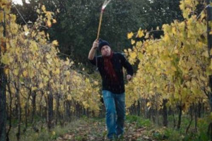 C&rsquo;&Egrave; ANCHE &ldquo;VIGNAVIVA&rdquo; TRA LE ORGANIZZAZIONI CHE RACCOLGONO VIGNAIOLI &ldquo;NATURALI&rdquo;. UNA TENDENZA IN CRESCITA QUELLA DELLE VITICOLTURA E DELL&rsquo;ENOLOGIA PULITA CHE PORTA CON S&Eacute; ANCHE NUOVE FORME DI AGGREGAZIONE AZIENDALE