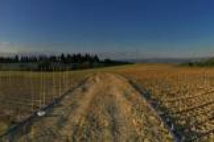 Stop alla monocultura a Montalcino: in uno dei territori del vino al top d&rsquo;Italia, a due passi dal Greppo, la tenuta dove nell&rsquo;Ottocento &egrave; nato il Brunello e se ne custodisce la tradizione, nasce il bio-orto di due ettari dell&rsquo;Agricola Piombaia