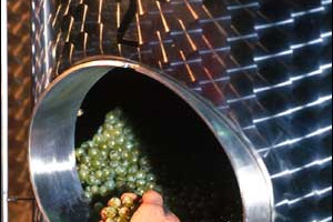 TREVISO DIVENTA UN MITO PER GLI AMERICANI