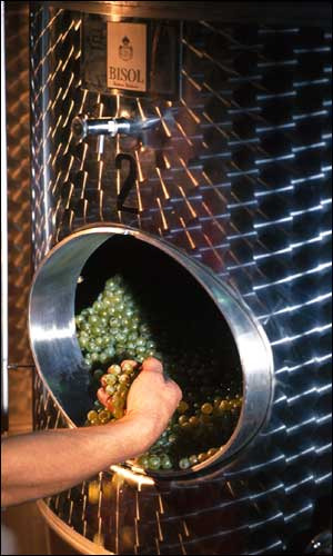 Prosecco, grande successo negli Usa