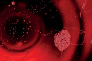 Modena celebra il Lambrusco, che da oltre 40 anni il vino italiano pi&ugrave; esportato nel mondo. Il 13 e 14 maggio, una serie di eventi percorreranno la produzione e il consumo del vino nel territorio, dall&rsquo;antichit&agrave; della preistoria ai giorni nostri