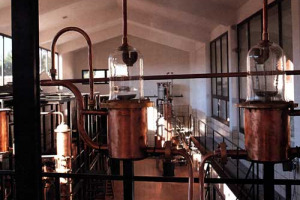 PRODUTTORI DI GRAPPA INDIGNATI, A RISCHIO LA SOPRAVVIVENZA DI UN PATRIMONIO CULTURALE E ECONOMICO. IL GOVERNO LETTA AUMENTA DEL 27,4% L’ACCISA SU SPIRITI. A RISCHIO LE DISTILLERIE, DEPOSITARIE DI TRADIZIONE CHE RENDE UNICA L’ACQUAVITE DI BANDIERA