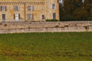 Bureau Interprofessionnel des Vins de Bourgogne: &ldquo;molto buona la vendemmia 2014 e ci si aspetta una grande annata. Buone le rese e la qualit&agrave; delle uve sia bianche che rosse, grazie ad un settembre positivo. I vini? Molto equilibrati e colorati&rdquo;