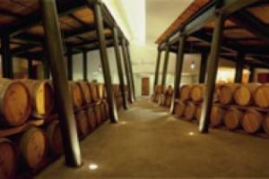 INDAGINE SUL MONDO DEL VINO BY MEDIOBANCA: 87% DELLE IMPRESE ITALIANE NON PREVEDE CALO DELLE VENDITE NEL 2013. EXPORT PROTAGONISTA DELLE MIGLIORI PERFORMANCE. CANTINE RIUNITE-CIV AL TOP DELLE &ldquo;25&rdquo; PER FATTURATO (514 MILIONI NEL 2012). FOCUS: LE CIFRE