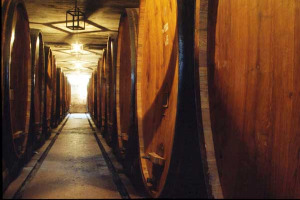 IL BRUNELLO DI MONTALCINO: LEGISLAZIONE, CARATTERISTICHE, STORIA, GIRO D&#8217;AFFARI, CURIOSITA&#8217; ...