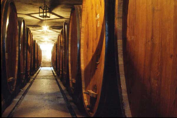 Bottaia: Foto Di Pietro