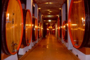 LA FILIERA VINO REAGISCE BENE ALLA CRISI, IN ITALIA COME IN FRANCIA, DOVE LA TONNELLERIE TORNA A PRODURRE AI LIVELLI DEL 2007. MA A TIRARE SONO SOPRATTUTTO LE ESPORTAZIONI, VERSO STATI UNITI, AUSTRALIA, ITALIA E SPAGNA