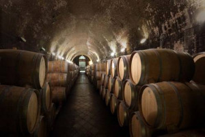 Tra i tantissimi settori dell&rsquo;indotto legato al vino c&rsquo;&egrave;, ovviamente, quello delle botti. In cui il mercato sembra tenere, almeno alla &ldquo;F&eacute;d&eacute;ration des Tonneliers de France&rdquo;, che registra un 2014 in linea sul 2013, a 342 milioni di euro di fatturato