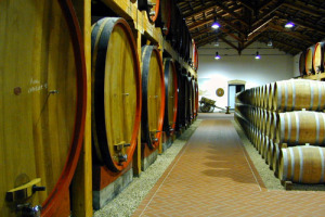 &Egrave; in salute il vino italiano: nel 2015 su fatturati, occupazione e investimenti (meglio dell&rsquo;economia nel complesso). Sentiment positivo per il 2016. Cos&igrave; l&rsquo;indagine di Mediobanca. Cantine Riunite-Giv al top per fatturato, Antinori per redditivit&agrave;