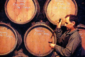 FRANCIA: BORDEAUX E BOURGOGNE, NO A OGM. VITICOLTORI IN TRINCEA CONTRO VIGNE ASETTICHE DA LABORATORIO ... I NUMERI DELLA CRISI DEI VINI FRANCESI, E LE CONTROMISURE ALLO STUDIO