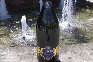 BOTTIGLIA DA GUINNESS PER BRINDARE ALLA FESTA DELLA REPUBBLICA: L’ECCEZIONALE FORMATO DA 27 LITRI DI FRANCIACORTA VERRA’ STAPPATO IN UMBRIA A SPOLETO A “I VINI NEL MONDO” (DAL 2 AL 4 GIUGNO)